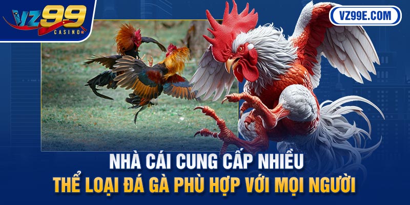Nhà cái cung cấp nhiều thể loại đá gà phù hợp với mọi người 