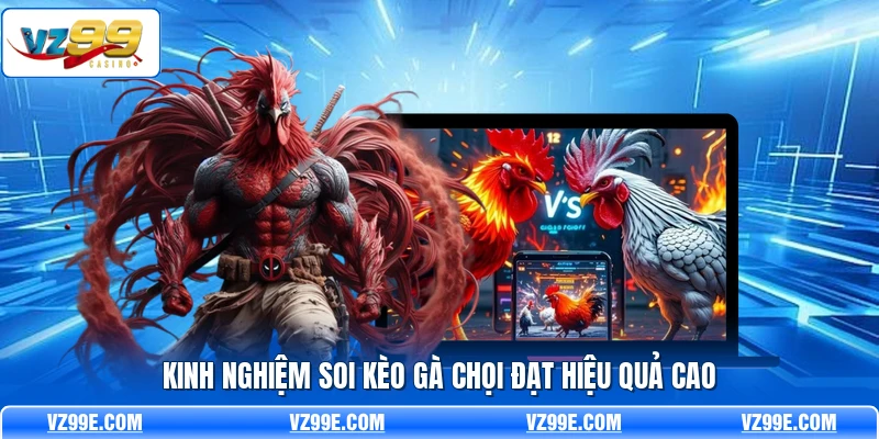 Kinh nghiệm soi kèo gà chọi đạt hiệu quả cao