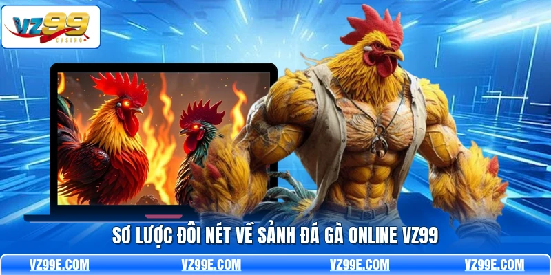 Sơ lược đôi nét về sảnh đá gà online VZ99